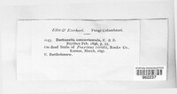 Image Associated With the Occurence